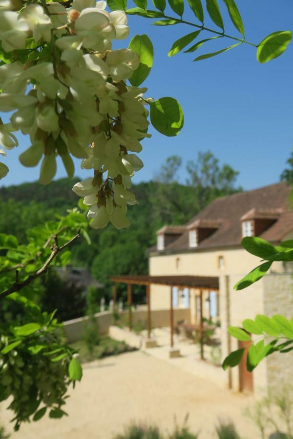 Maison Du Cedre Auriac-du-Perigord Ngoại thất bức ảnh